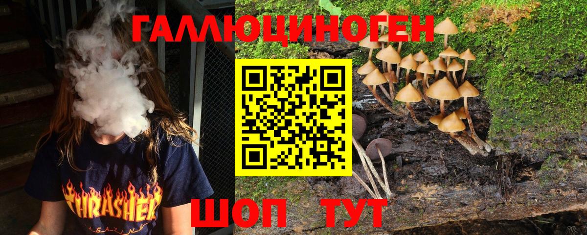Псилоцибиновые грибы прущие грибы Коряжма